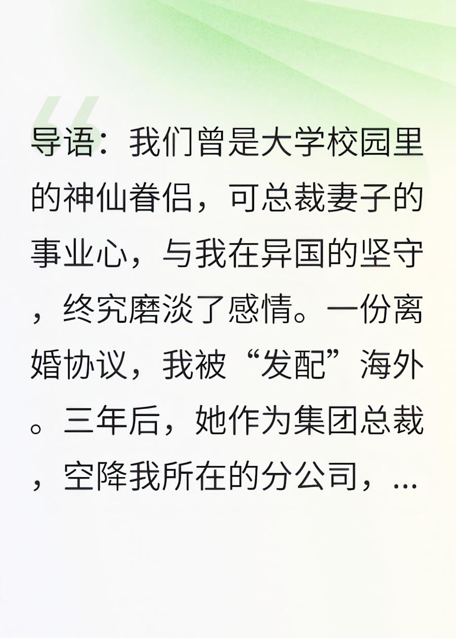 离婚后，冰山总裁前妻来我分公司求合作