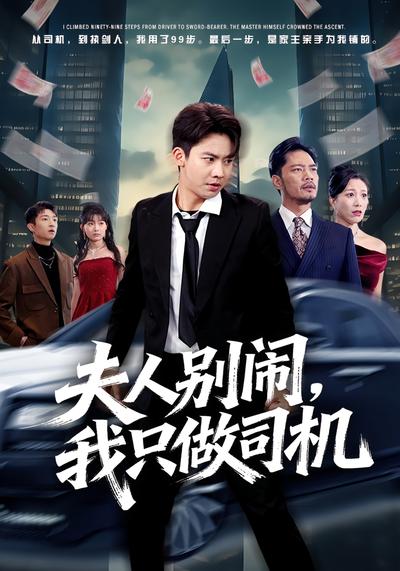 夫人别闹，我只做司机