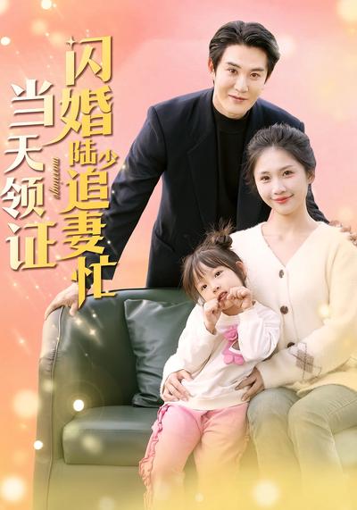 当天领证，闪婚陆少追妻忙