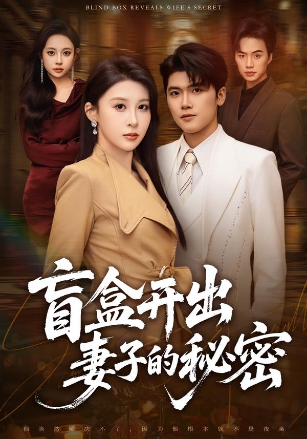 短剧盲盒开出妻子的秘密海报