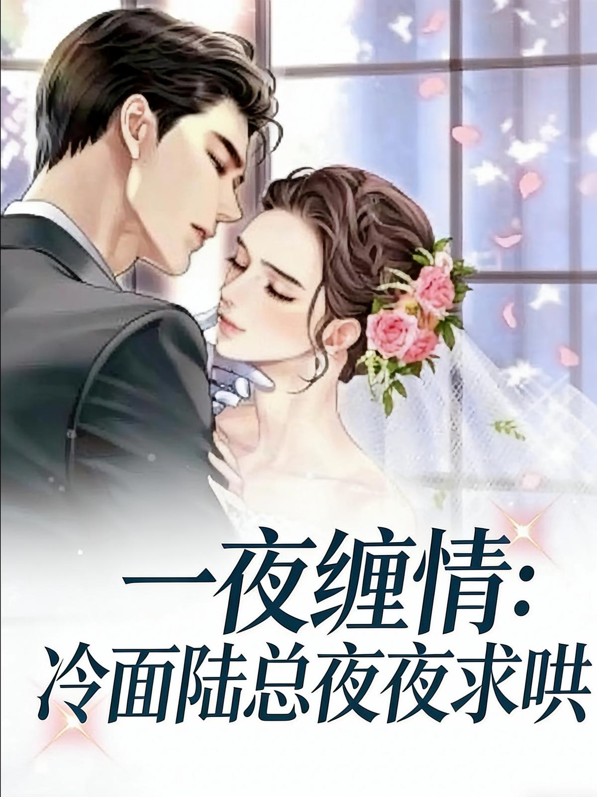 一夜缠情：冷面陆总夜夜求哄