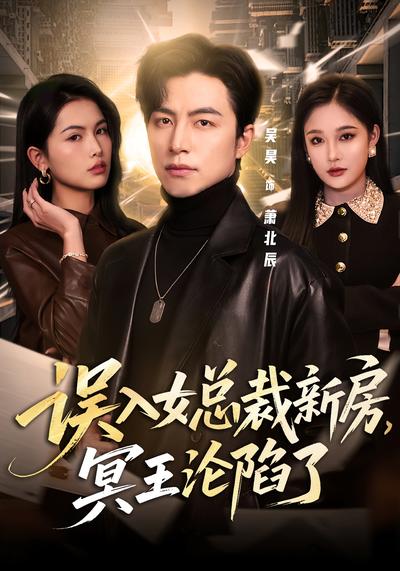 误入女总裁新房，冥王沦陷了