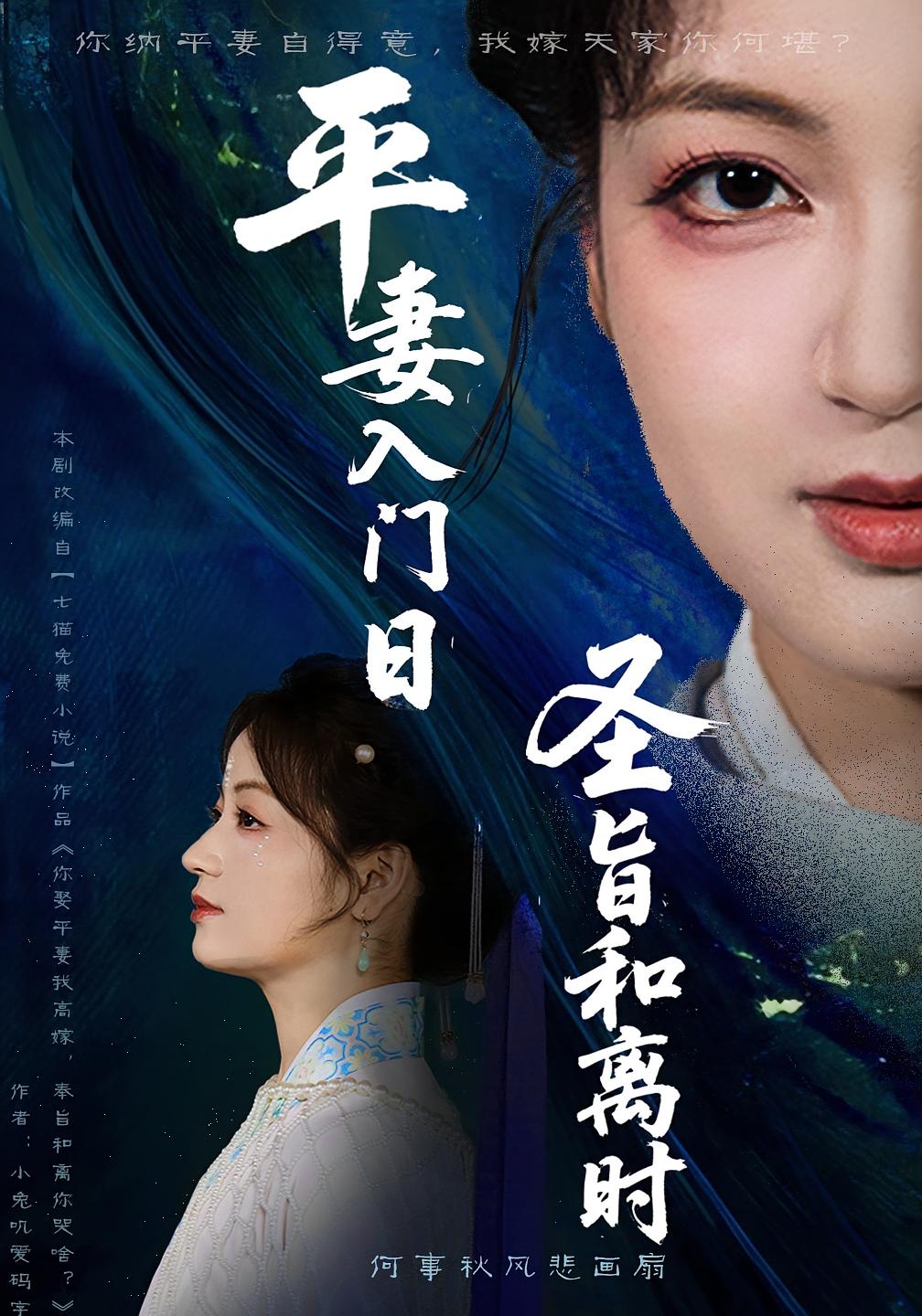 平妻入门日圣旨和离时