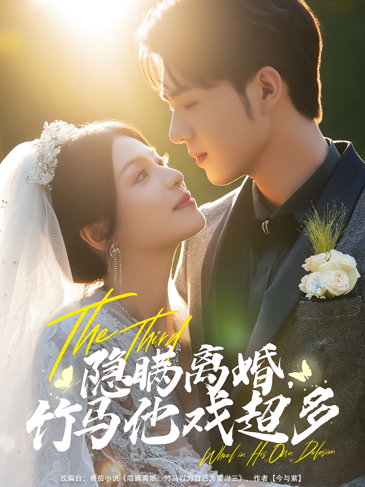 隐瞒离婚，竹马他戏超多