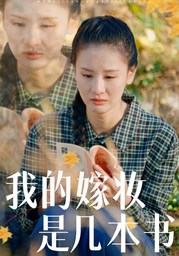 短剧我的嫁妆是几本书海报