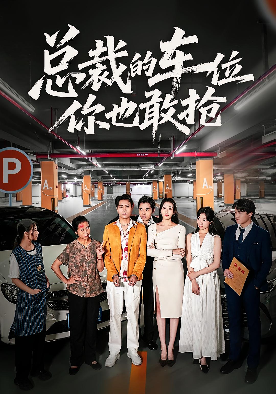 总裁的车位你也敢抢