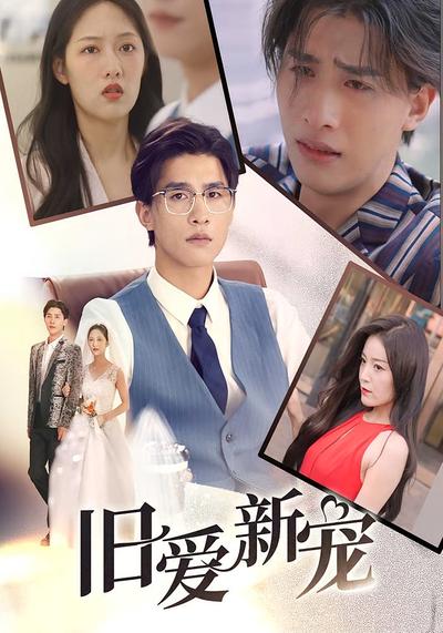 旧爱新宠