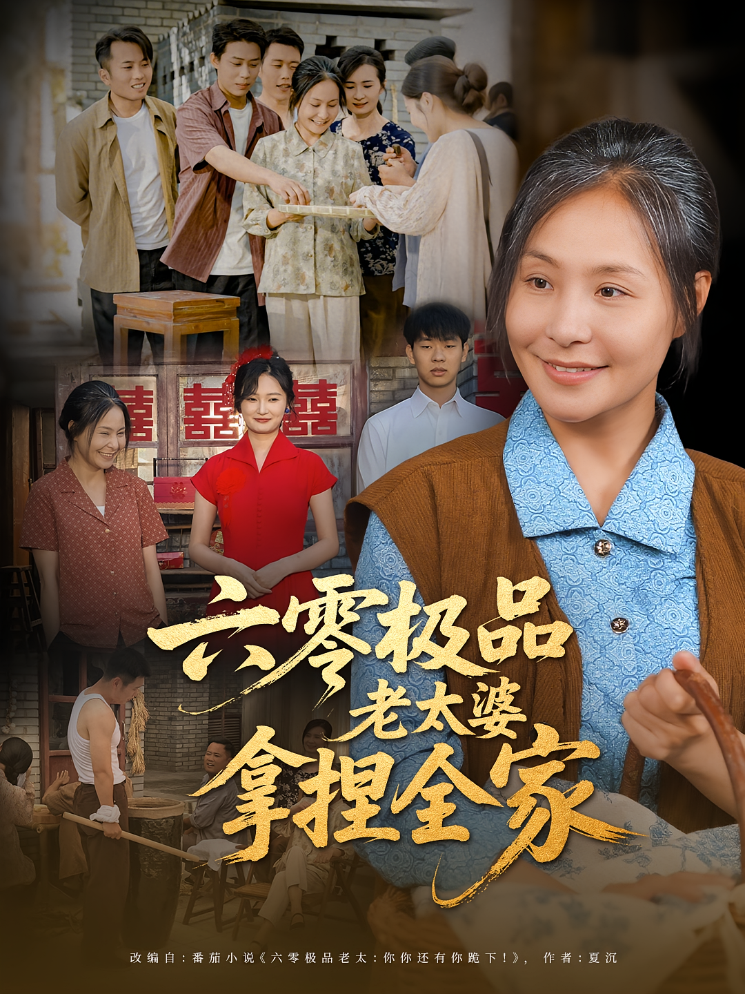 六零极品老太婆拿捏全家