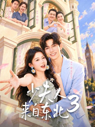 少夫人来自东北3封面