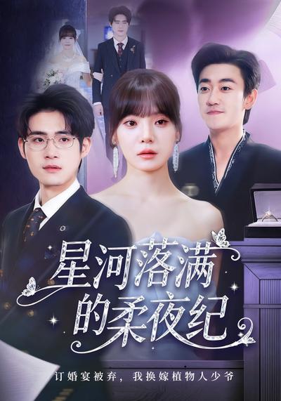 星河落满的柔夜纪