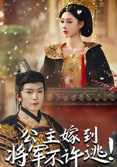 公主嫁到，将军不许逃！