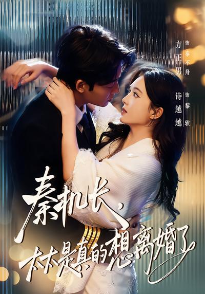 秦机长，太太是真的想离婚了 - 在线观看