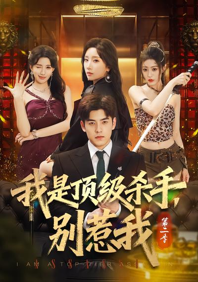 我是顶级杀手，别惹我第二季封面