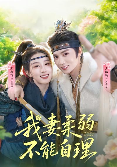 我妻柔弱不能自理 - 在线观看