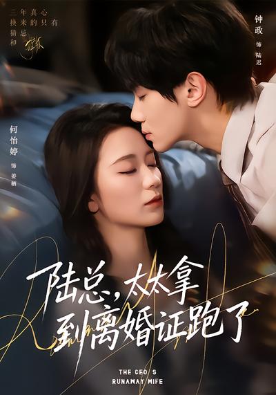 陆总，太太拿到离婚证跑了 - 在线观看