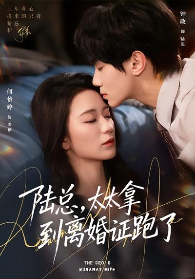 陆总，太太拿到离婚证跑了