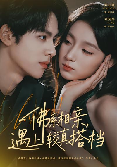 佛系相亲，遇上较真搭档 - 在线观看