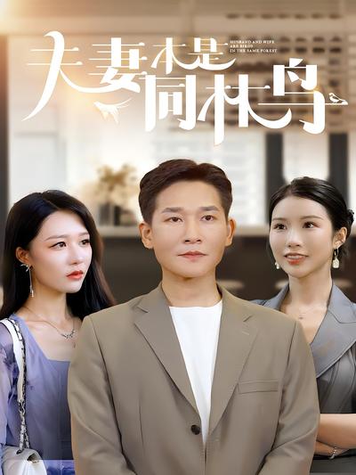 夫妻本是同林鸟