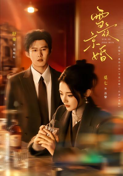 雪夜京婚 - 在线观看