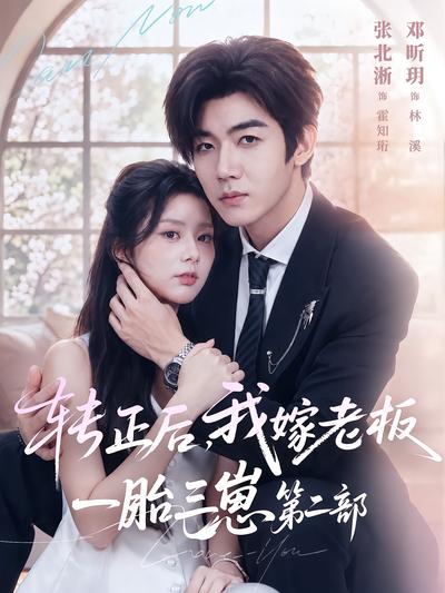 转正后，我嫁老板一胎三崽第二部封面