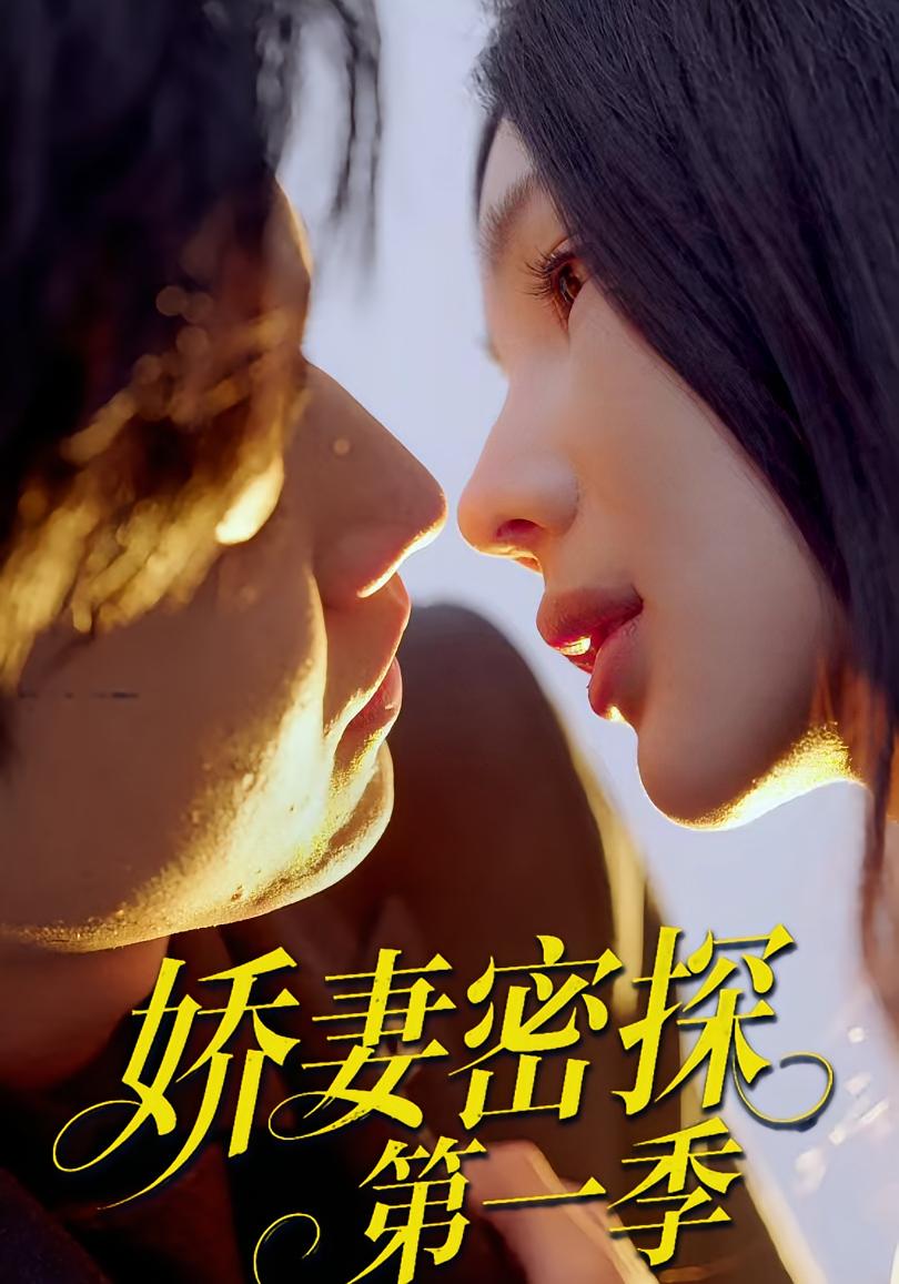 娇妻密探第一季