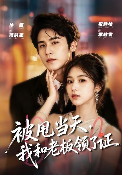 被甩当天，我和老板领了证 - 在线观看
