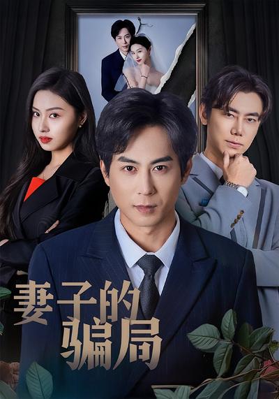 妻子的骗局