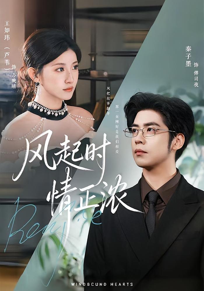 风起时情正浓