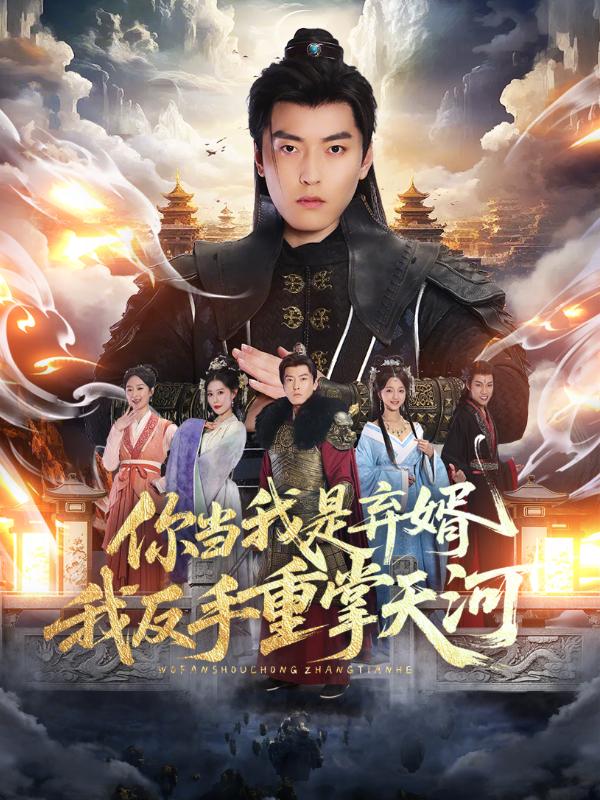 你当我是弃婿，我反手重掌天河