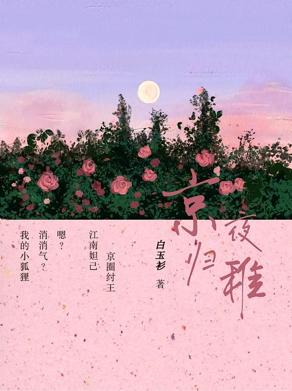 京夜归稚