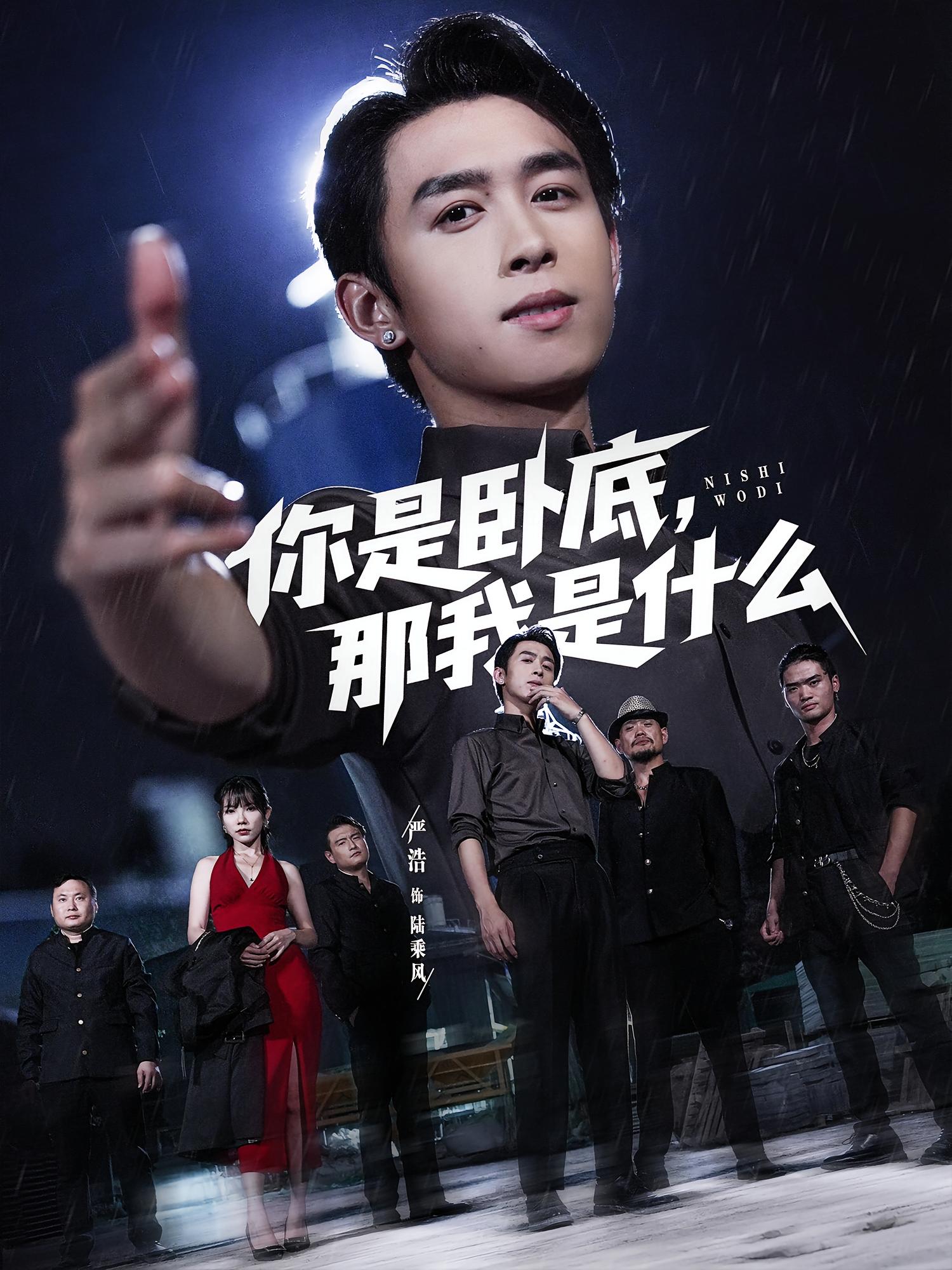 你是卧底，那我是什么