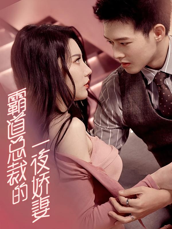 霸道总裁的一夜娇妻