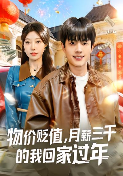 物价贬值，月薪三千的我回家过年 - 在线观看