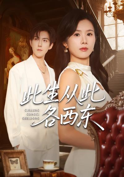 此生从此各西东