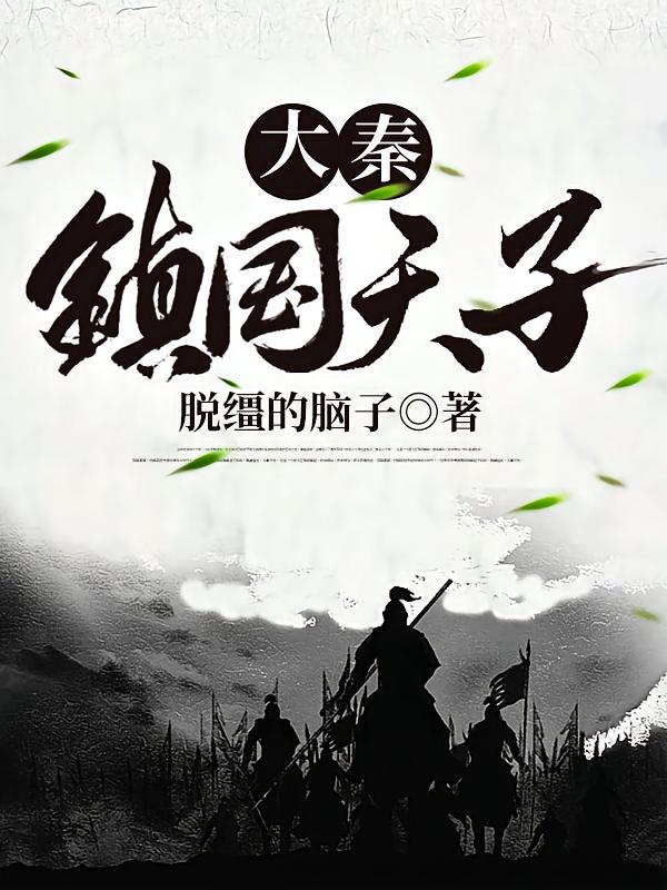 大秦镇国天子