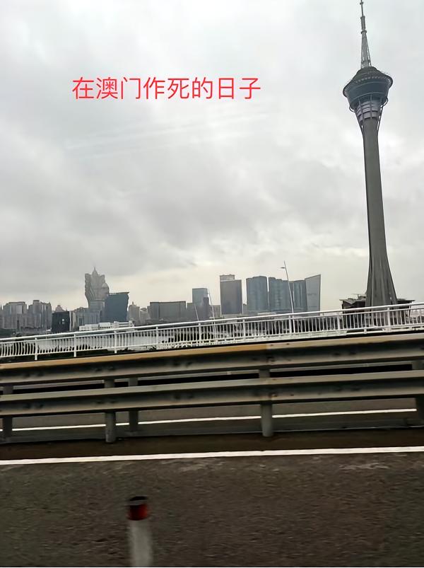 在澳门作死的日子
