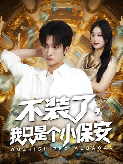 不装了，我只是个小保安