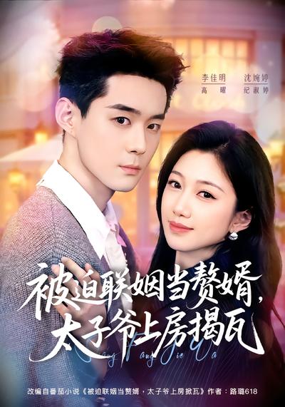 被迫联姻当赘婿，太子爷上房揭瓦 - 在线观看