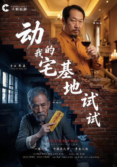 动我的宅基地试试 - 在线观看