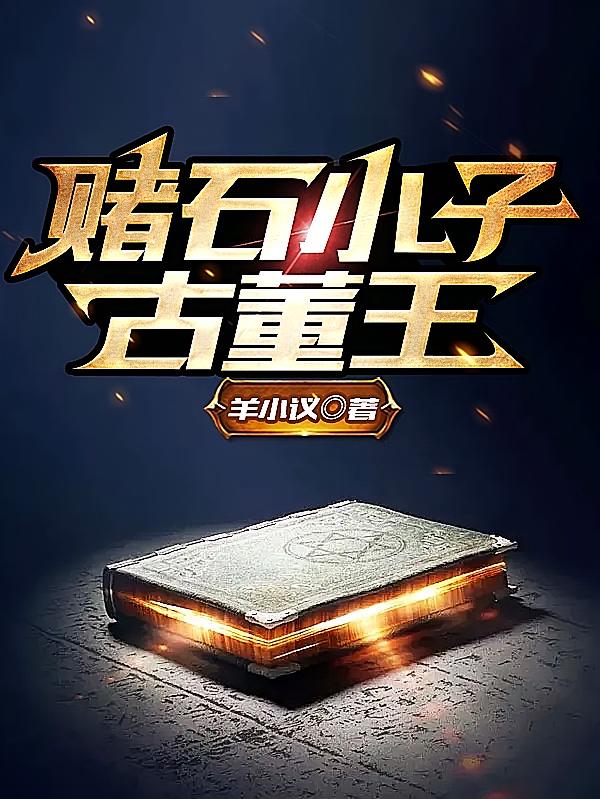 赌石小子古董王