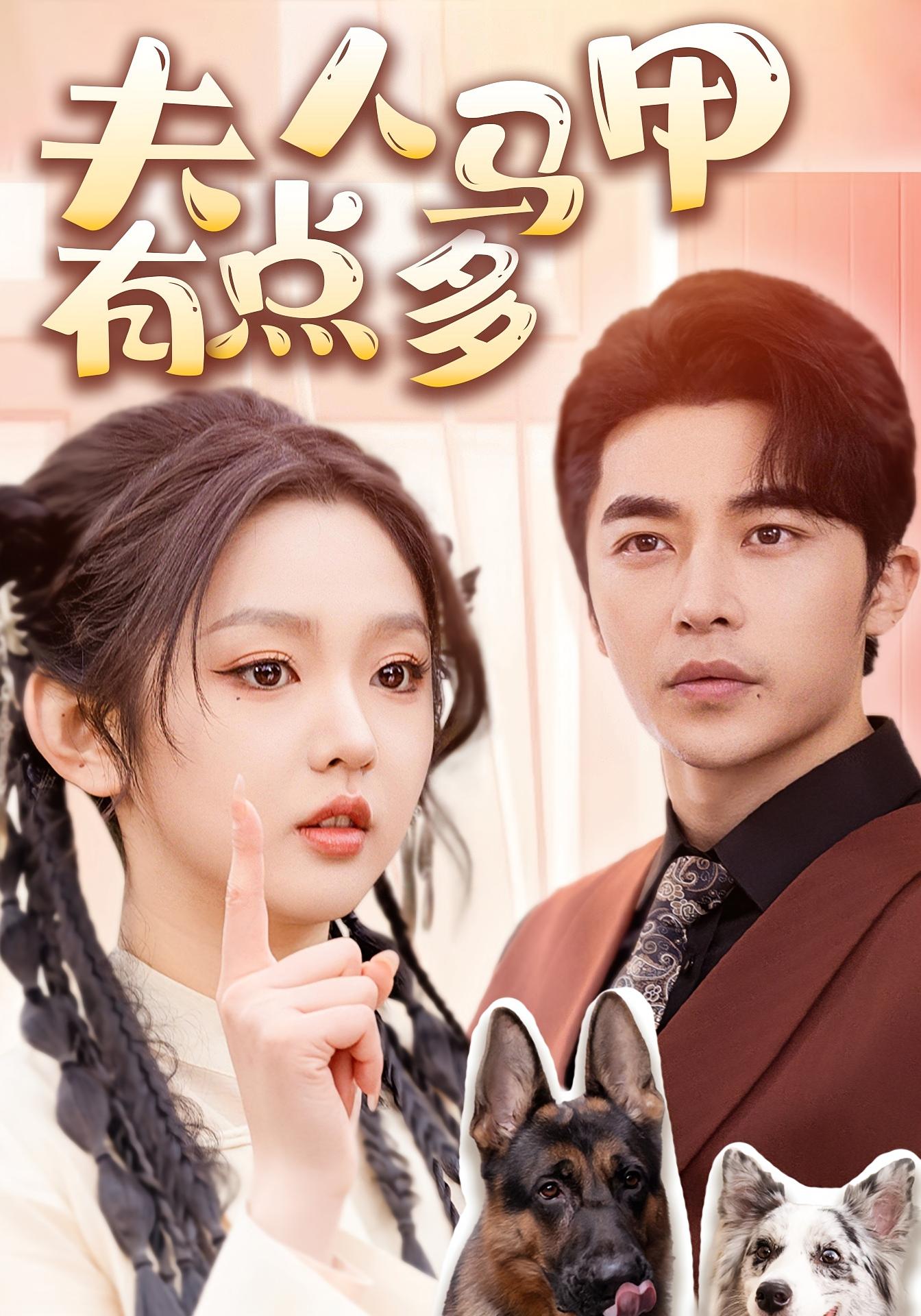 夫人马甲有点多