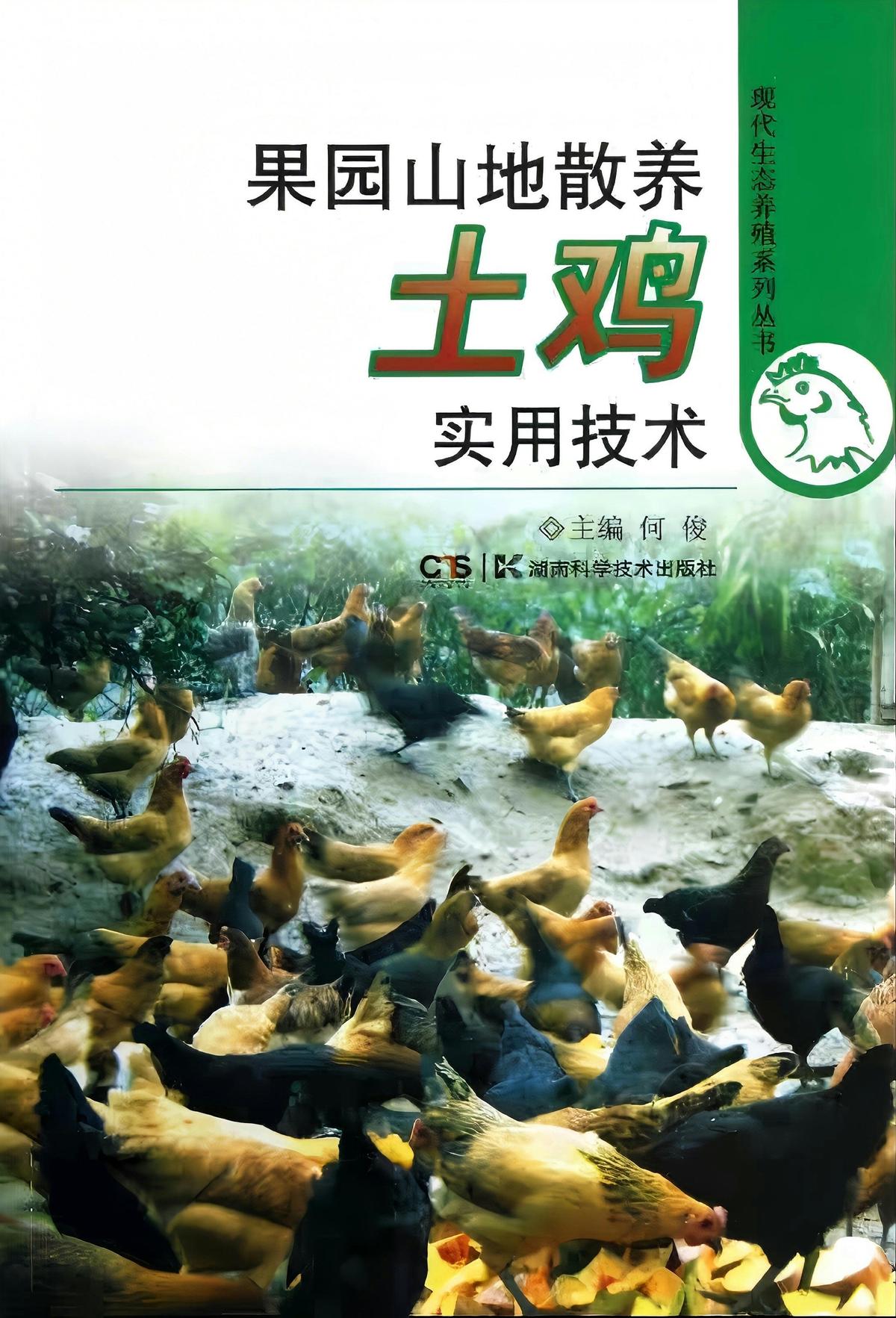 果园山地散养土鸡实用技术