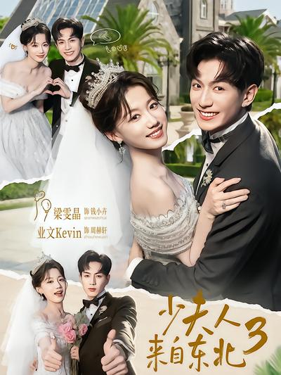 少夫人来自东北3封面