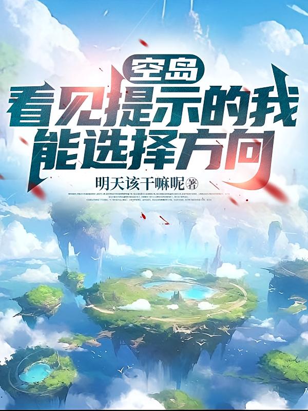 空岛：看见提示的我能选择方向