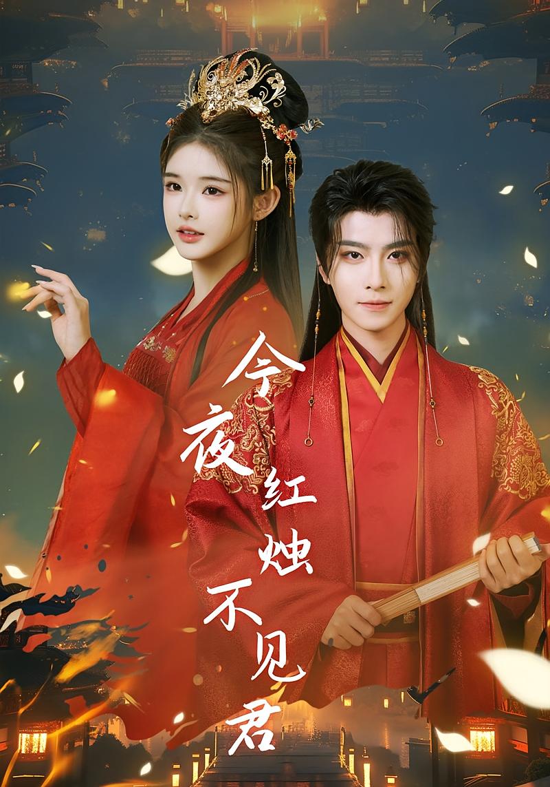 今夜红烛不见君