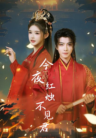今夜红烛不见君