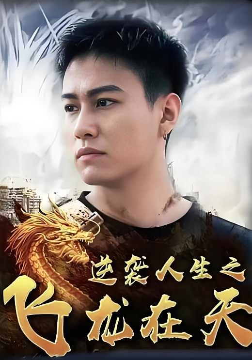 逆袭人生之飞龙在天