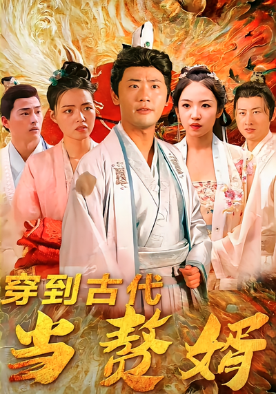 穿到古代当赘婿