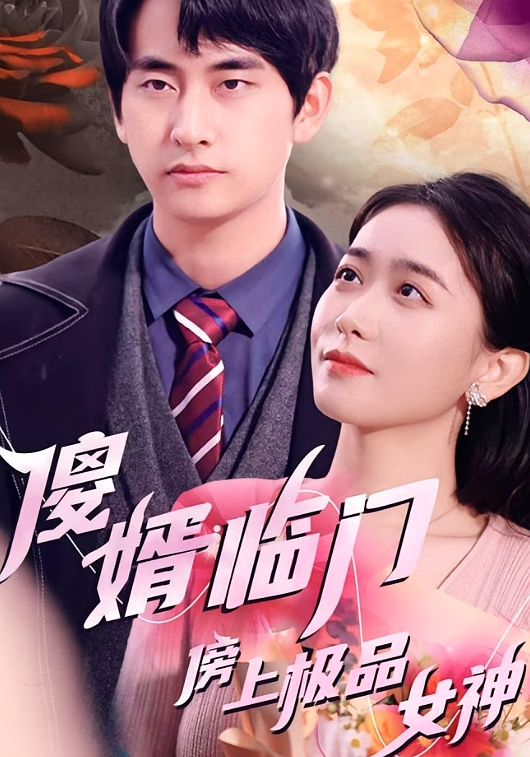 傻婿临门傍上极品女神