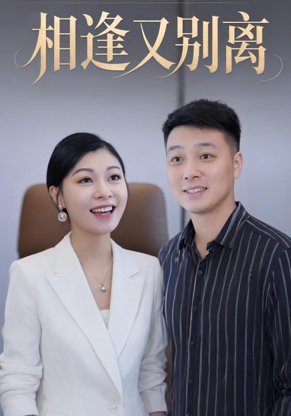 短剧《相逢又别离》海报
